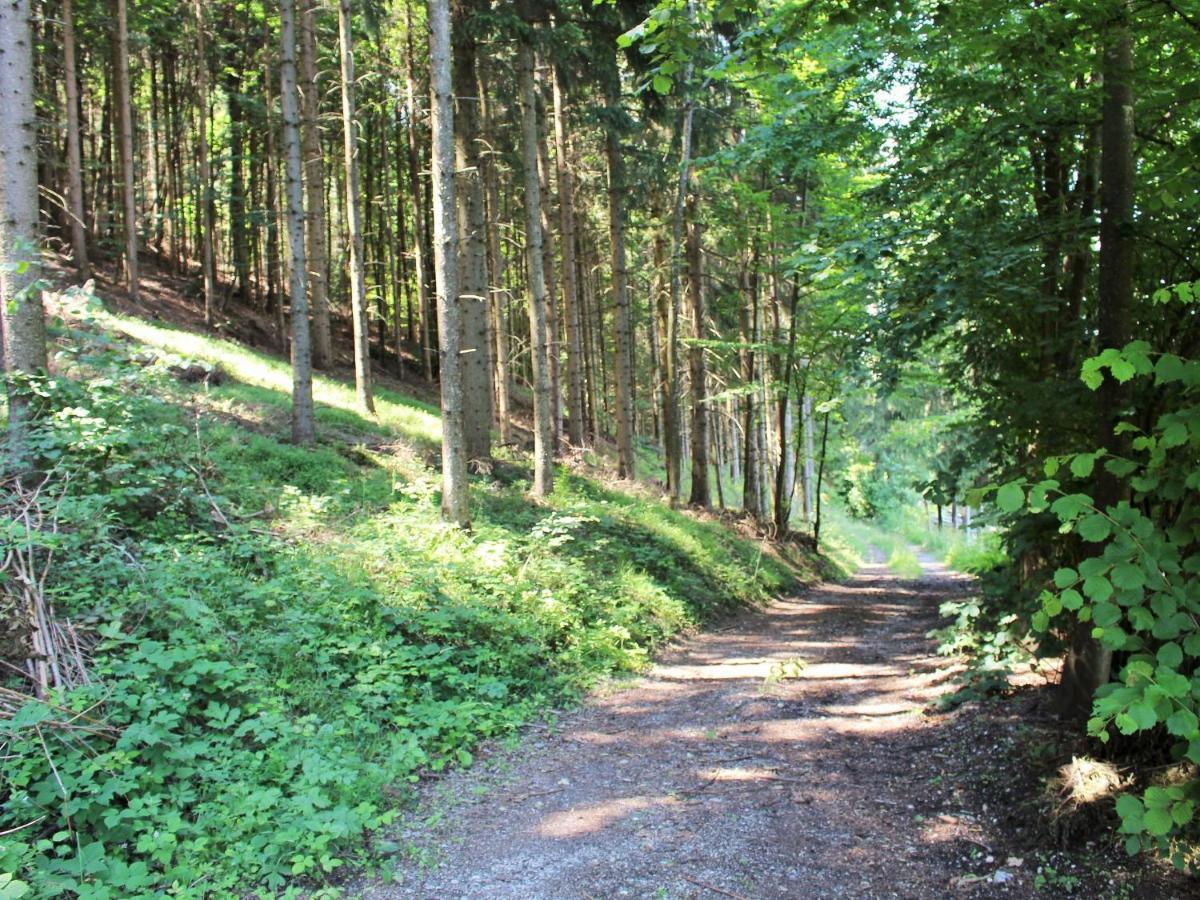 Apartment In Koettmannsdorf Near Bathing Lake Wurdach Esterno foto